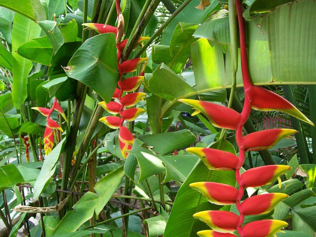 Posada El Jardin Ticul Exteriér fotografie