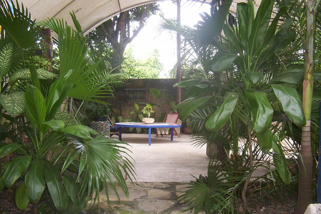 Posada El Jardin Ticul Exteriér fotografie