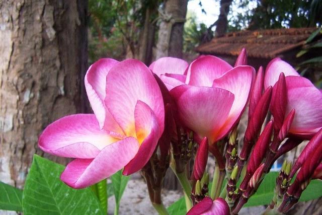 Posada El Jardin Ticul Exteriér fotografie