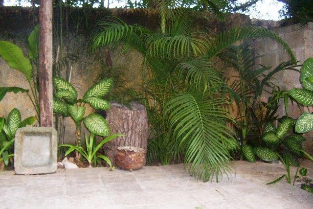 Posada El Jardin Ticul Exteriér fotografie