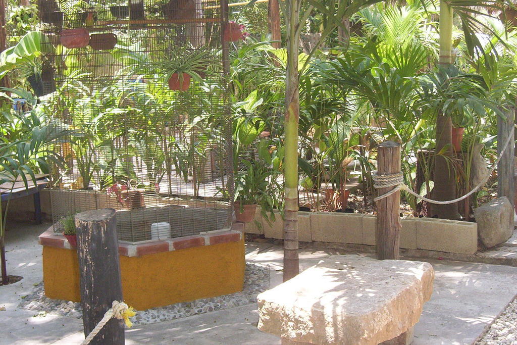 Posada El Jardin Ticul Exteriér fotografie