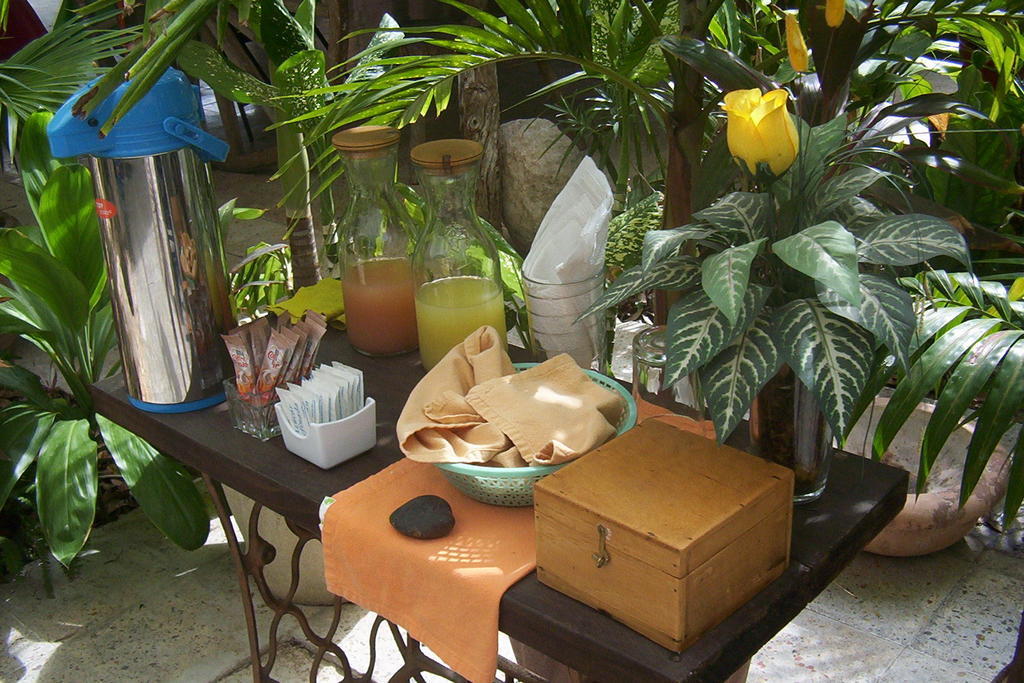 Posada El Jardin Ticul Exteriér fotografie